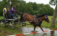 Kørsel med hest og vogn