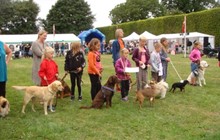 B�rnedyrskue for 41. gang