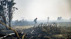 Afbr�ndingsforbud oph�ves