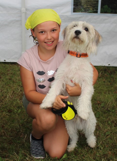 Dyr og spring p� Savv�rksgrunden