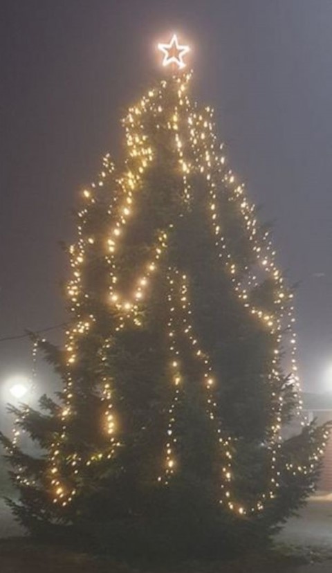 Juletræerne tændes