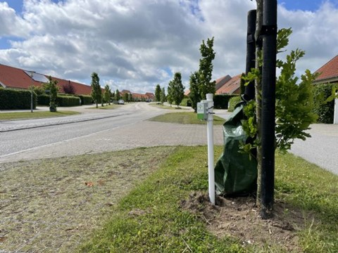 Teknologi til træer