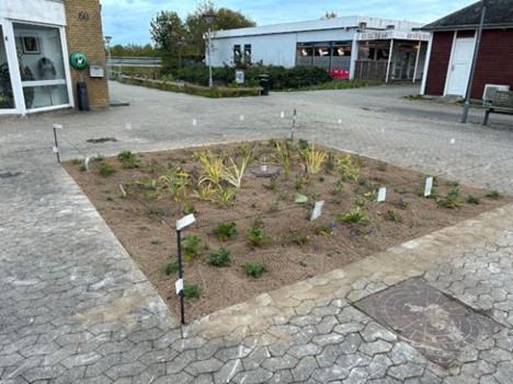 Det begyndte med et bio diversitets bed