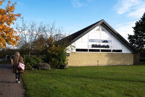 Billedbogskram på biblioteket