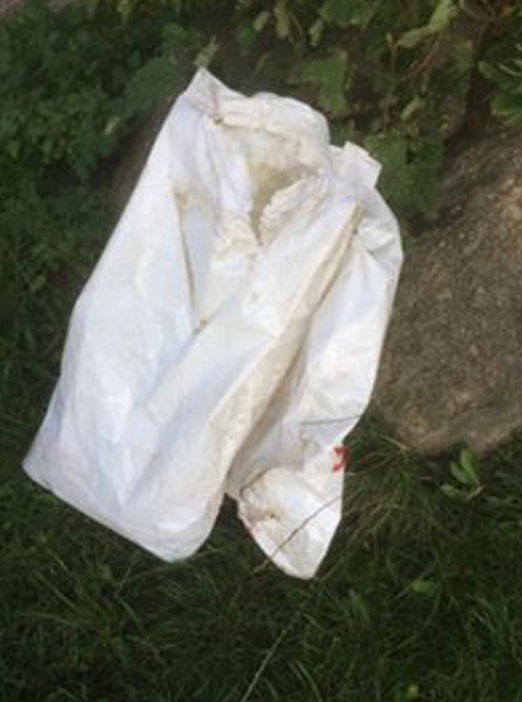 Plasticposer smidt i Klosterskoven.